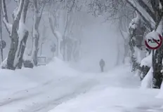 Ураганен вятър остави 15 000 души без токЗимна буря придружена