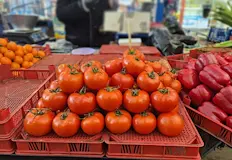 Богомил Николов Държавата плаща еднакви субсидии за пшеница и доматиВ