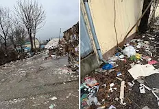 Граждани настояват за спешни глоби и издирване на собственика на