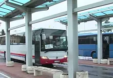 Браншът настоява за 10 скок на ценитеАвтобусните превозвачи в Бургаско