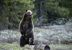 Изследователят разкри основните правила за безопасност в планинатаРЕКЛАМАКритична дистанция в