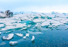 Сателитни данни показват критично свиване на покривкатаПлощта на морския лед