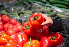Браншът настоява за спешни проверки по пазаритеВносни плодове и зеленчуци