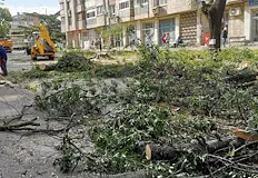 Граждани пребориха Община Русе в съда заради унищожена зеленинаГражданското общество