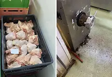 БАБХ покри опасен цех на осъден депутат в МонтанаБългарската агенция