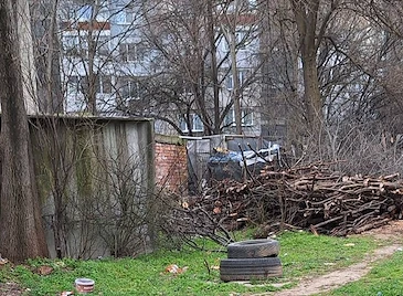 Незаконна сеч тревожи жителите в квартал "Здравец"
