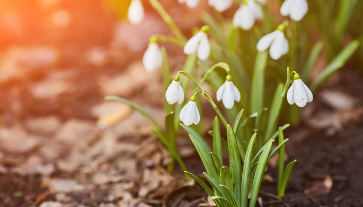 Сутрешните мъгли отстъпват място на слънцето в равнините Сутрешните мъгли отстъпват място на слънцето в равнините