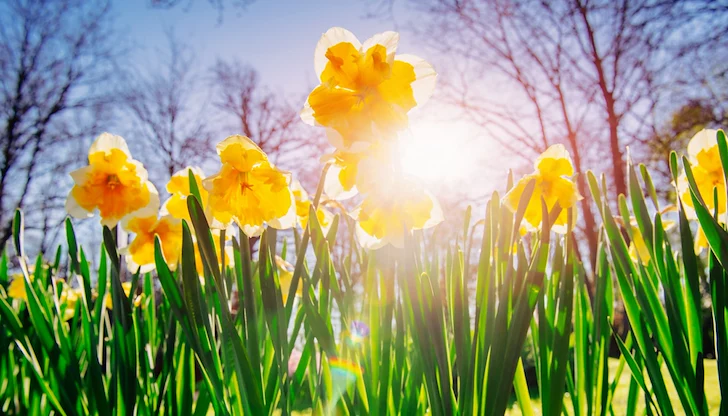 НИМХ обяви месечната прогноза за страната НИМХ обяви месечната прогноза за страната