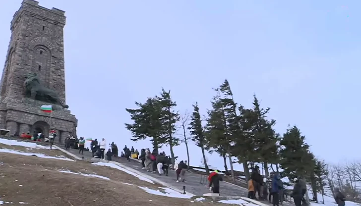 Обществените поръчки спират старта на спасителните дейности