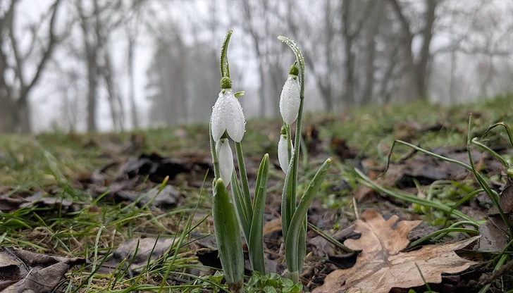 Времето рязко се влошава през втората половина на март Времето рязко се влошава през втората половина на март