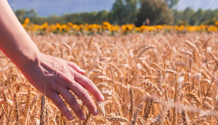 Държавата има право да утрои помощта от националния бюджет Държавата има право да утрои помощта от националния бюджет