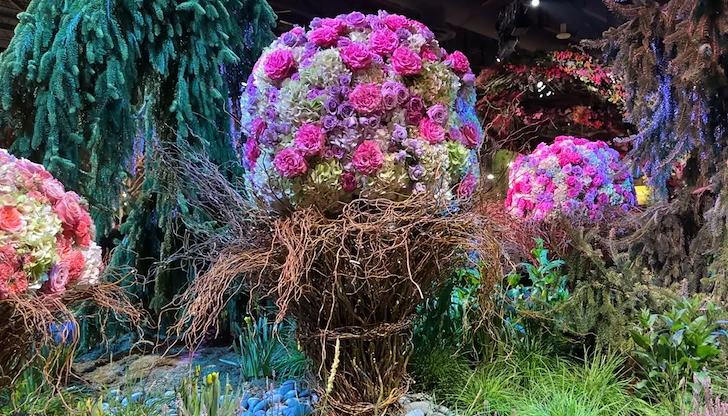 Пролетната феерия в САЩ очаква четвърт милион посетители