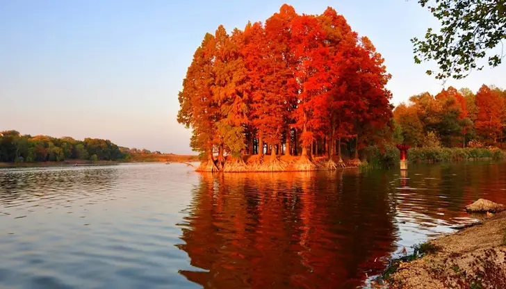 Частен инвеститор взима терена за 35 години Частен инвеститор взима терена за 35 години