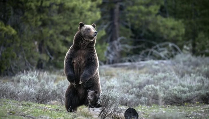 Изследователят разкри основните правила за безопасност в планината