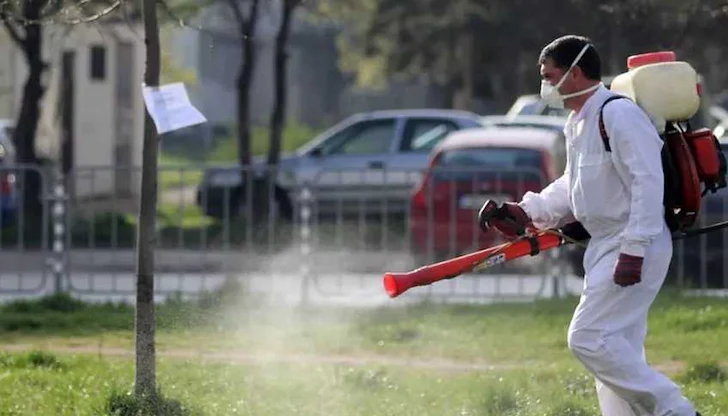 Държавата бави обществената поръчка за третирането срещу насекомите