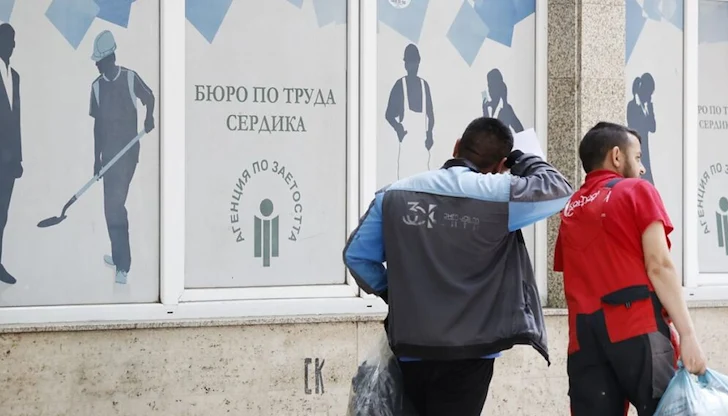 Секторът на логистиката и транспорта отчита най-сериозен срив Секторът на логистиката и транспорта отчита най-сериозен срив