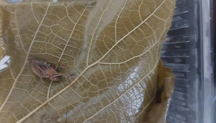 Компанията прехвърли отговорността за липсващия контрол върху анонимен подизпълнител Компанията прехвърли отговорността за липсващия контрол върху анонимен подизпълнител