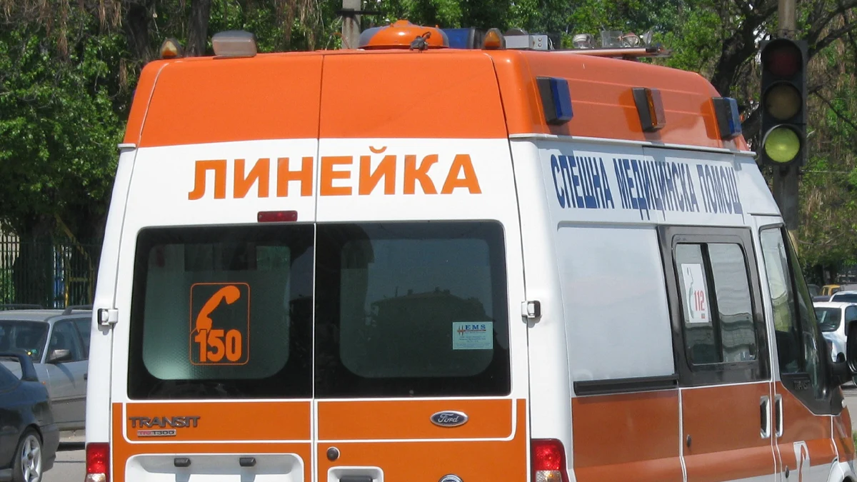 Водачът се е отървал с леки наранявания след инцидента на