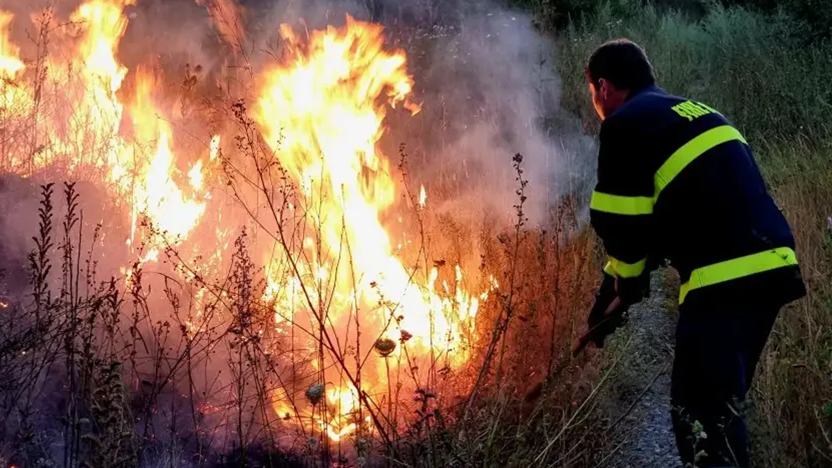 Пожароопасният сезон започва от 1 април и продължава до края