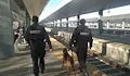 Жандармерията засилва охраната на гарата в Русе