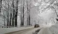 Снежен капан блокира ТИР-овете през прохода Петрохан