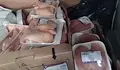 Конфискуваха близо 330 кг незаконно месо на "Дунав мост"
