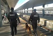 Жандармерията засилва охраната на гарата в Русе