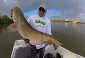 Рибари вадят едри сомове от студените води на Дунав