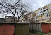Незаконни гаражи пазят опасно дърво в Русе