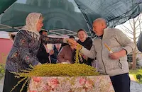 Опашки за върбови клонки се извиха пред храмовете в Русе