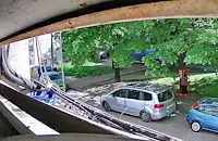 Жена премахва системно обяви за изгубен котарак в Русе