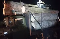 Горски конфискуваха камион с нелегална дървесина край Говедарци