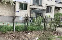 Живущите в блок "Лом" сами разчистват падналите клони