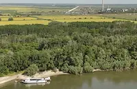 Община Русе пръска срещу комари само във вътрешните водоеми