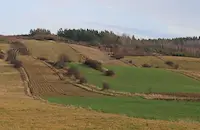 Нивите в Добруджа минаха 1200 евро за декар