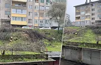 Сеч на дървета в квартал "Дружба 3"