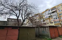 Незаконни гаражи пазят опасно дърво в Русе