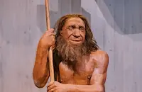 Дървено копие доказа как неандерталците са поваляли 4-метрови слонове