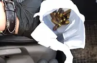 Спипаха двама ловци, бракониерствали край село Костанденец