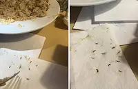 Клиент намери червеи в чинията си във Варна