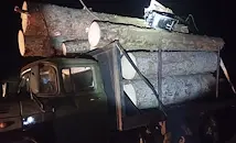 Горски конфискуваха камион с нелегална дървесина край Говедарци
