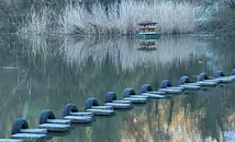 Русенец: Съсипаха езерото в "Липник" заради новия мост