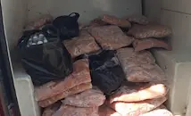 БАБХ издирва 800 заклани агнета