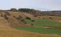 Нивите в Добруджа минаха 1200 евро за декар