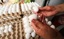 Родни птицевъди спасяват бизнеса с масов износ в Европа