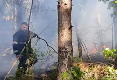Пожарникари и минувачи спасиха масива край Бяла от голямо бедствиеБързата