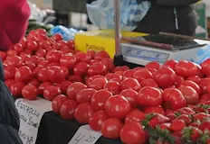 Българските домати поскъпват четири пъти от градината до магазинаБългарските зеленчуци