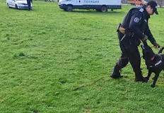 Жената е намерена в района на Пловдив53 годишна жена която бе