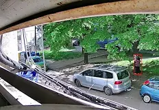 Стопанката на животното предлага 500 евро награда за намирането муРусенка