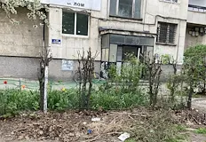 Хората чакат служители на Общината да извозят отпадъцитеКупища събрани клони